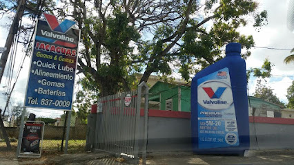 Jacaguas Gomas & Gomas
