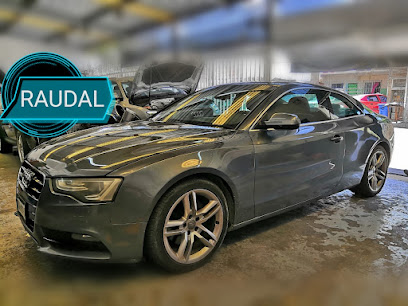 RAUDAL SERVICIO AUTOMOTRIZ
